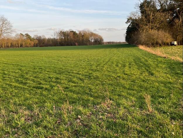 Landwirtschaftliche Fläche zum Kauf 26.570 m² Grundstück Itterbeck 49847