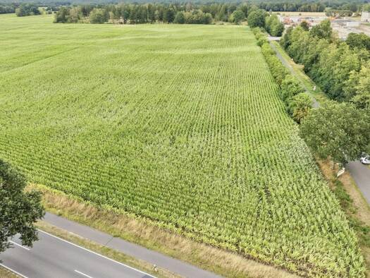 Landwirtschaftliche Fläche zum Kauf 36.391 m² Grundstück Kalle Hoogstede 49846