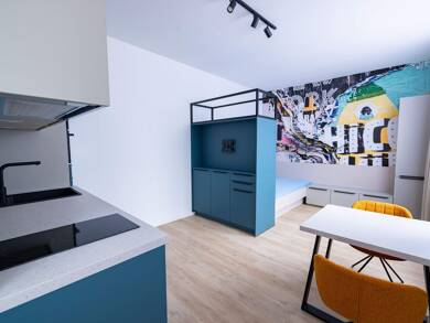 Studio zum Kauf provisionsfrei 198.900 € 1 Zimmer 21,5 m² 1. Geschoss Steinbühler Straße 4-6 Tafelhof Nürnberg 90443