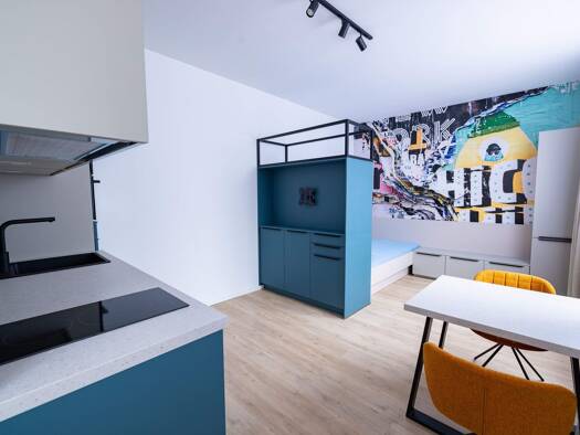 Studio zum Kauf provisionsfrei 198.900 € 1 Zimmer 21,5 m² 1. Geschoss Steinbühler Straße 4-6 Tafelhof Nürnberg 90443