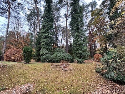 Freizeitgrundstück zum Kauf 1.000 m² Grundstück Wandlitz 16348