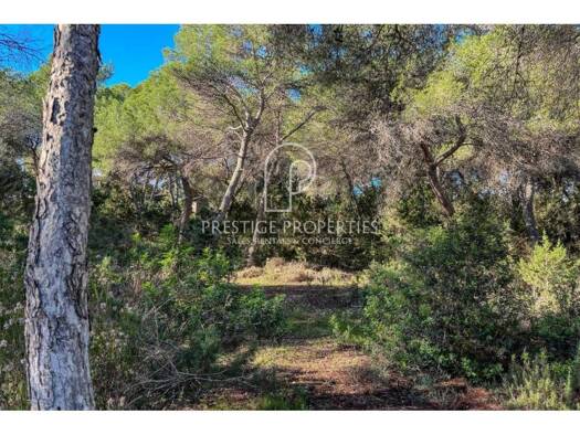 Acker-/Waldstück zum Kauf 1.200.000 € Santa Eulària des Riu 07850