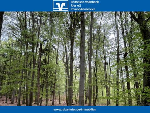 Land-/Forstwirtschaft zum Kauf 6.552 m² Grundstück Ursheim Polsingen 91805