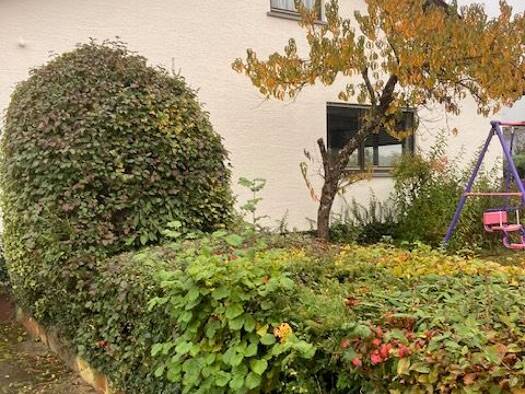 Einfamilienhaus zum Kauf 6,5 Zimmer 195 m² 519 m² Grundstück frei ab sofort Neuenhaus Aichtal 72631