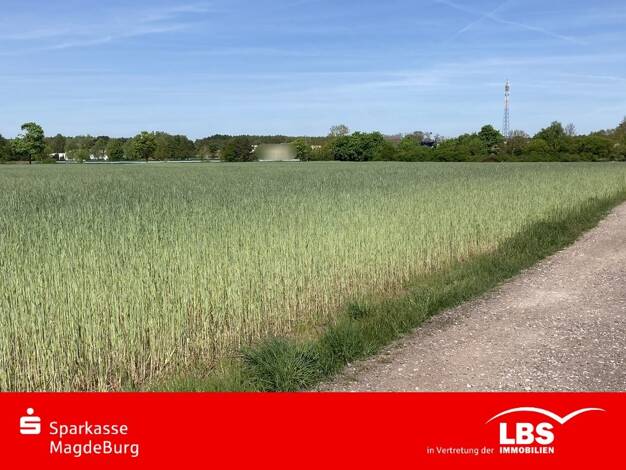 Grundstück zum Kauf 65.000 € 26.795 m² Grundstück Schermen 39291