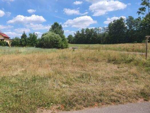 Grundstück zum Kauf 59.000 € 729 m² Grundstück Albertshausen Bad Kissingen 97688