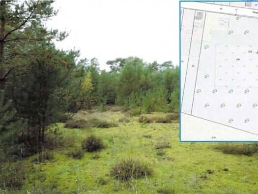 Grundstück zum Kauf provisionsfrei 26.120 € 16.325 m² Grundstück frei ab sofort Hennersdorf Doberlug-Kirchhain 03253
