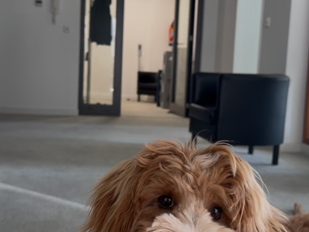 Bürofläche zur Miete provisionsfrei 950 € 24 m² Bürofläche Am Salzhaus Innenstadt Frankfurt am Main 60311