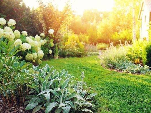 Haus zum Kauf 418.880 € 5 Zimmer 118 m² 475 m² Grundstück Rangsdorf 15834