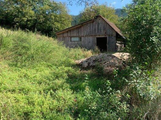 Land-/Forstwirtschaft zum Kauf 249.000 € 27.000 m² Grundstück St. Veit an der Glan 9300