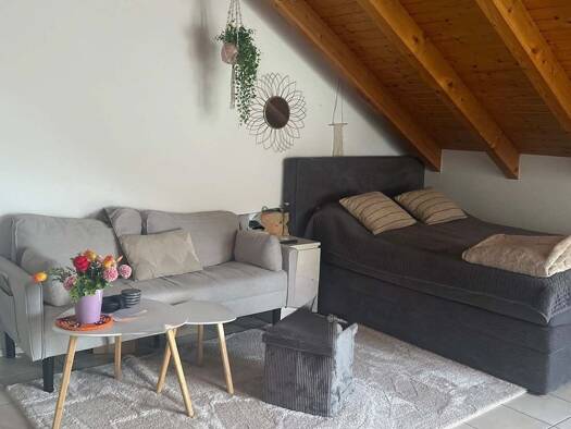 Wohnung zur Miete 490 € 1 Zimmer 39,6 m² 4. Geschoss frei ab 15.12.2026 Libellenweg 42 Singen Singen (Hohentwiel) 78224