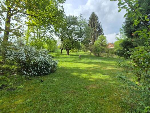 Grundstück zum Kauf 350.000 € 3.990 m² Grundstück Kirchstetten 3062