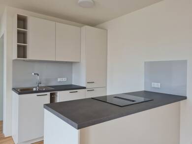 Wohnung zur Miete 1.084 € 3 Zimmer 66 m² 3. Geschoss frei ab sofort Frühlingstraße 11 Dornbirn 6850