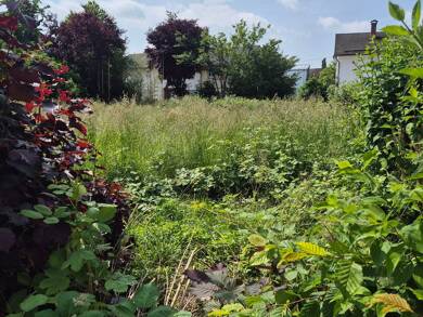 Grundstück zum Kauf provisionsfrei 450.000 € 490 m² Grundstück Rott Rott am Inn 83543