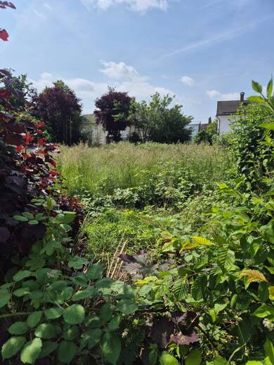 Grundstück zum Kauf provisionsfrei 450.000 € 490 m² Grundstück Rott Rott am Inn 83543