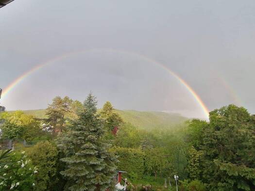 Einfamilienhaus zum Kauf 695.000 € 180 m² 837 m² Grundstück Bad Münstereifel 53902