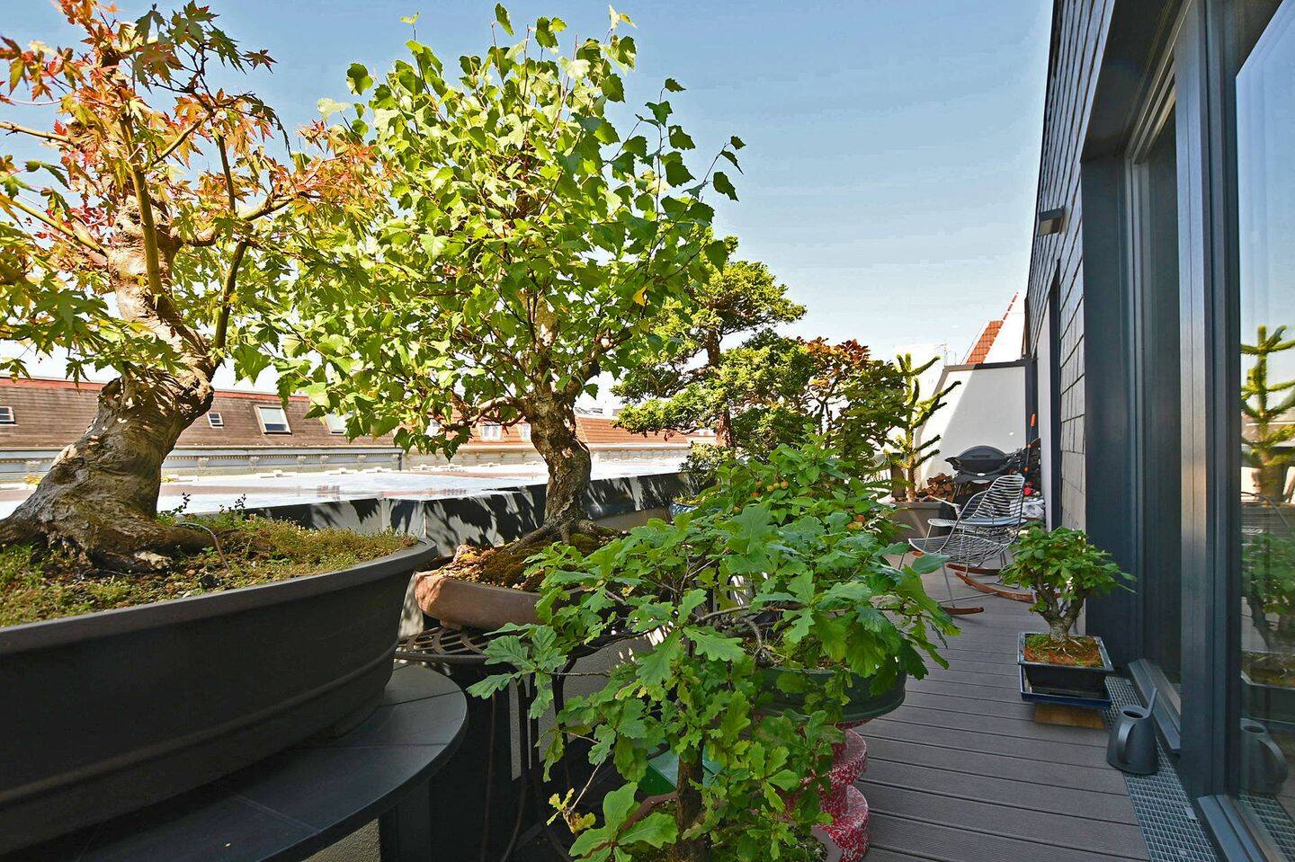 Property thumbnail 9