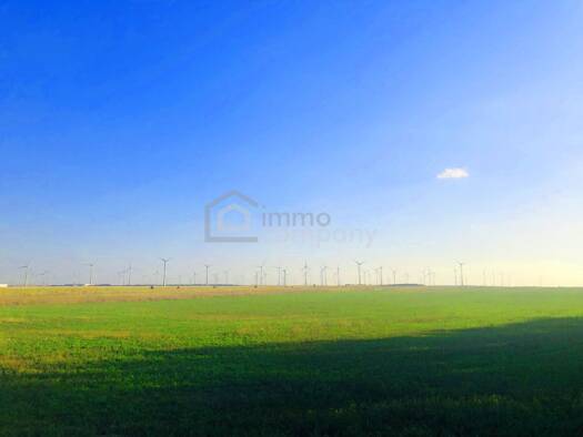 Land-/Forstwirtschaft zum Kauf 313.700 € 33.025 m² Grundstück Zurndorf 2424
