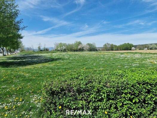 Grundstück zum Kauf 590.000 € 34.372 m² Grundstück Großsteinbach 8265