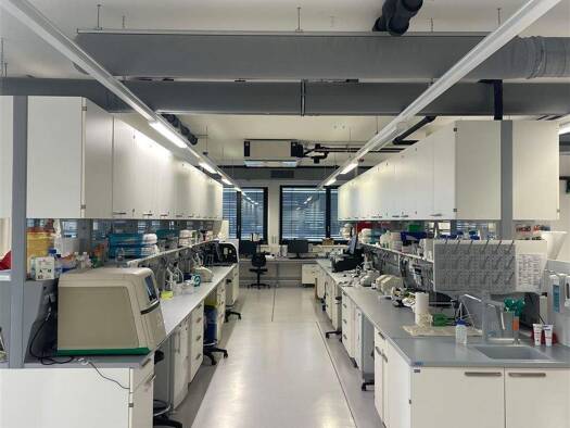 Bürofläche zur Miete provisionsfrei 19,90 € 929 m² Bürofläche Semmelweisstraße 3 Planegg 82152