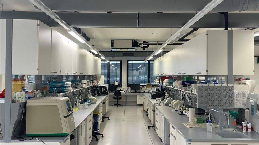 Bürofläche zur Miete provisionsfrei 19,90 € 929 m² Bürofläche Semmelweisstraße 3 Planegg 82152