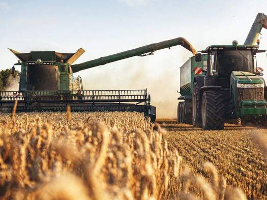 Land-/Forstwirtschaft zum Kauf 10.000 € Wunsiedel 95632