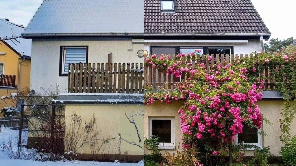 Einfamilienhaus zum Kauf 499.000 € 4 Zimmer 130 m² 535 m² Grundstück Heiligensee Berlin 13503