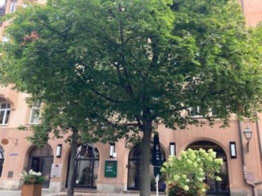 Wohnung zur Miete 1.350 € 3 Zimmer 75 m² 2. Geschoss frei ab sofort Weinmarkt 14 Sebald Nürnberg 90403