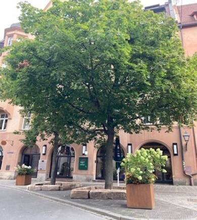 Wohnung zur Miete 1.350 € 3 Zimmer 75 m² 2. Geschoss frei ab sofort Weinmarkt 14 Altstadt / St. Sebald Nürnberg 90403