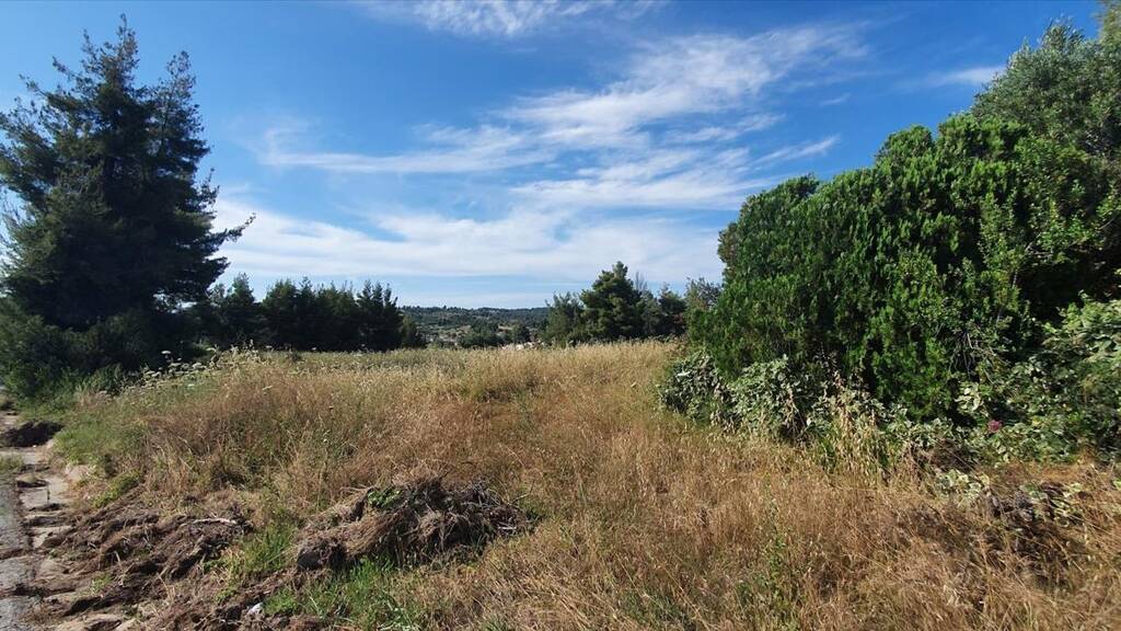 Land-/Forstwirtschaft zum Kauf 380.000 € 8.962 m² Grundstück Chalkidiki