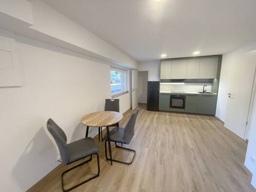 Wohnung zur Miete 975 € 1 Zimmer 31 m² EG Beuel Bonn 53225