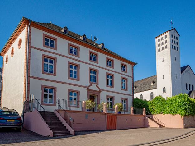 Mehrfamilienhaus zum Kauf 770.000 € 12 Zimmer 317 m² 680 m² Grundstück Igel Igel 54298