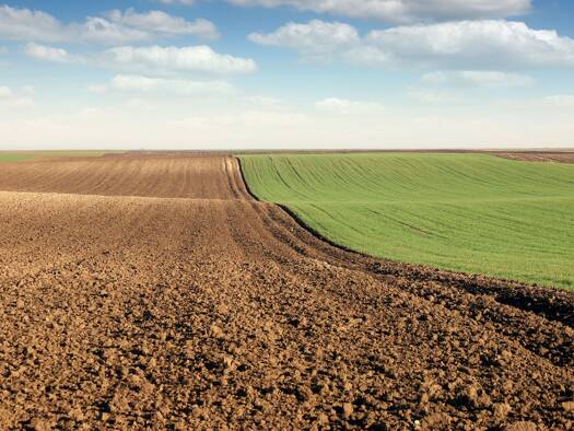 Land-/Forstwirtschaft zum Kauf Frankenhofen Weiltingen 91744