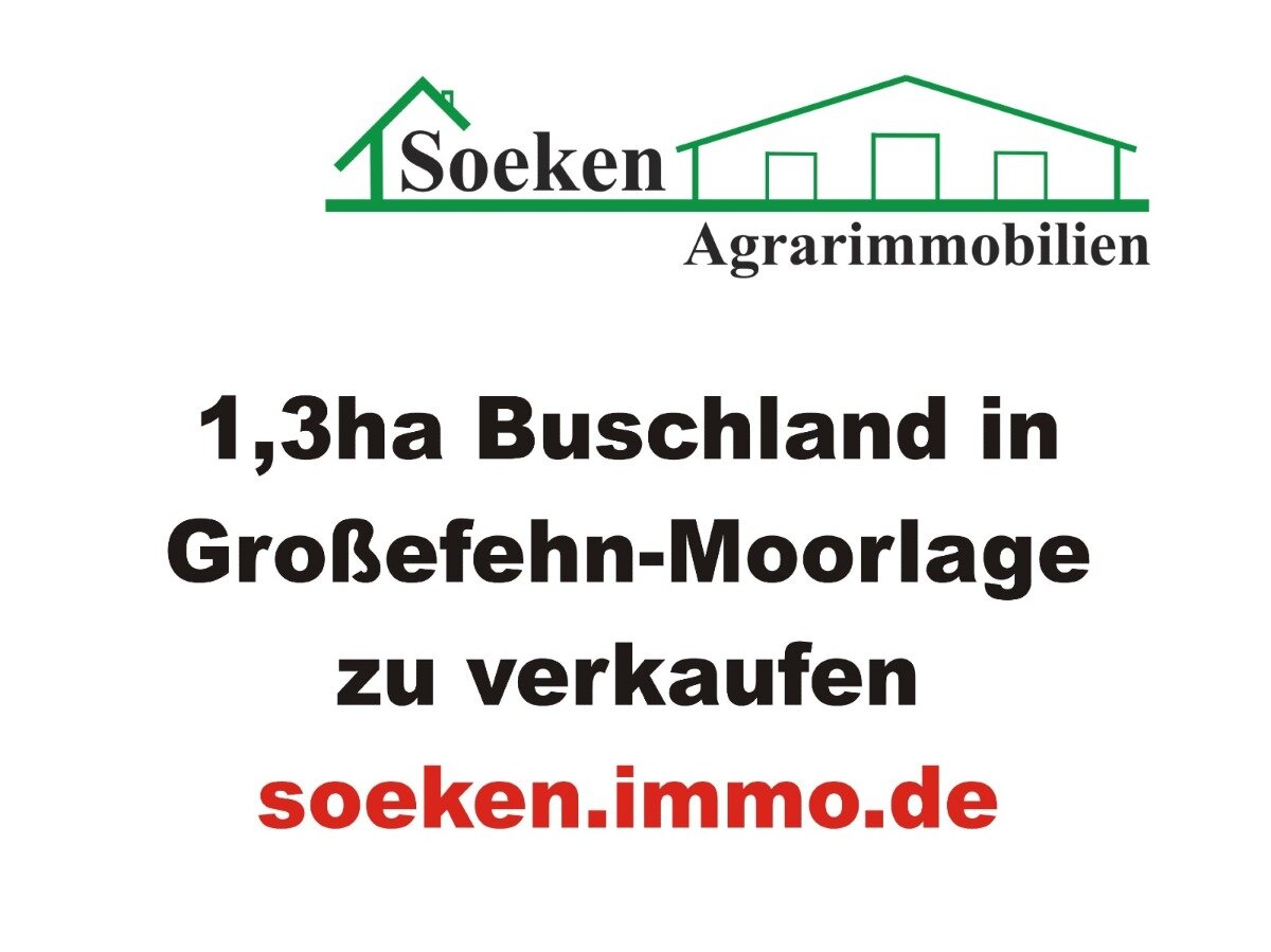 Freizeitgrundstück zum Kauf 13.000 € 13.984 m²<br/>Grundstück Aurich-Oldendorf Großefehn 26629