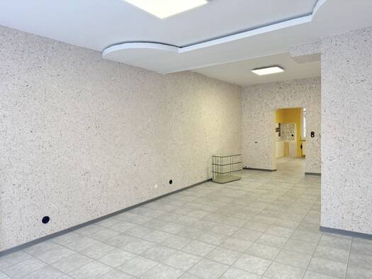 Haus zum Kauf 269.000 € 3 Zimmer 91,1 m² 210 m² Grundstück Süd Ludwigshafen am Rhein 67067