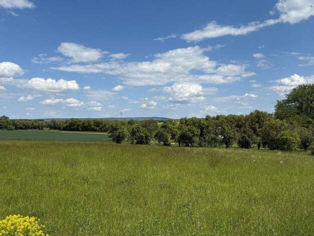 Grundstück zum Kauf 105.400 € 620 m² Grundstück Am Stollengarten Marlishausen Arnstadt 99310