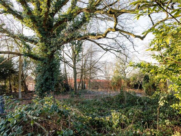 Grundstück zum Kauf 499.000 € 740 m² Grundstück Lemsahl-Mellingstedt Hamburg 22397