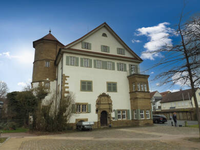 Schloss zur Miete 3.500 € 9 Zimmer 455 m² 1 m² Grundstück Gemmingen Gemmingen 75050