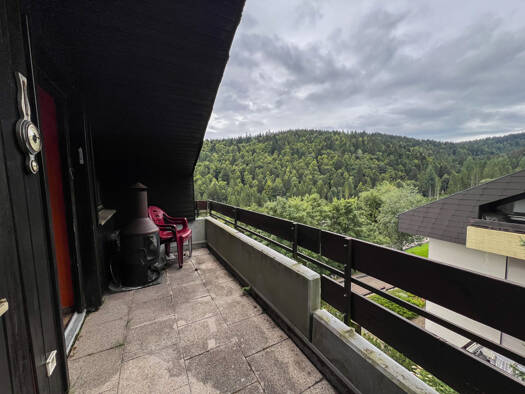 Wohnung zum Kauf 55.000 € 1 Zimmer 35 m² 3. Geschoss Vordertodtmoos Todtmoos 79682