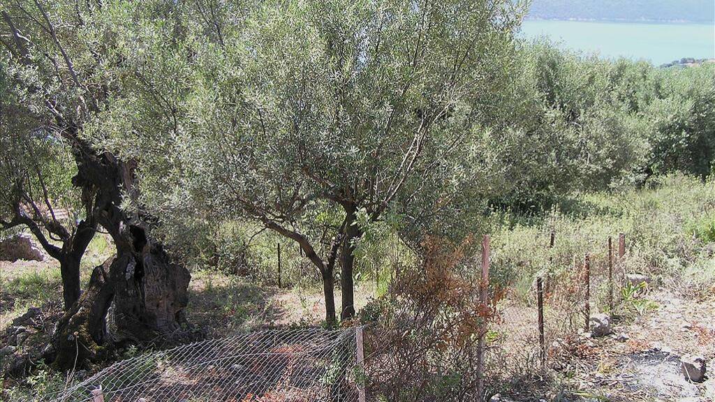 Land-/Forstwirtschaft zum Kauf 150.000 € 1.010 m² Grundstück Ionische Inseln