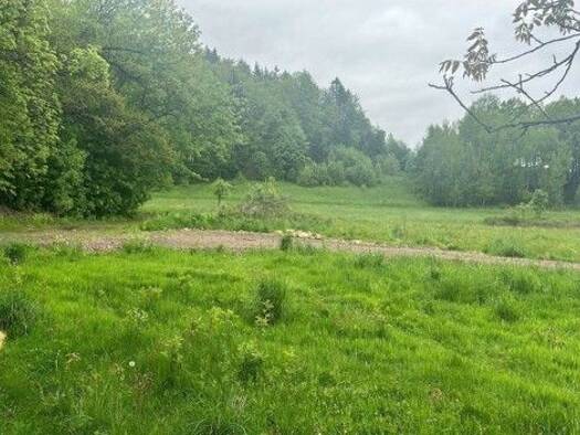 Grundstück zum Kauf 350.000 € 7.100 m² Grundstück gmina Podgórzyn 58-534