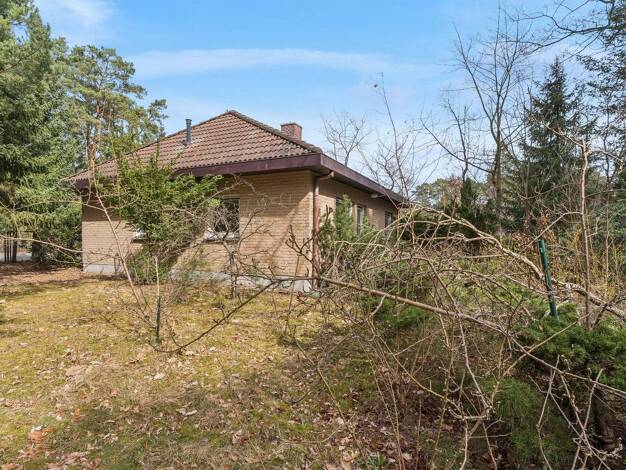 Bungalow zum Kauf 349.000 € 3 Zimmer 75,8 m² 1.800 m² Grundstück Borkheide 14822