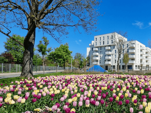 Wohnung zur Miete 16,29 € 3 Zimmer 95 m² 7. Geschoss frei ab 01.12.2026 Donaustadt 1220