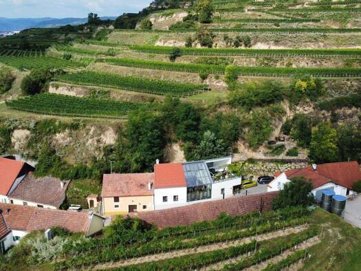 Gastronomie/Hotel zum Kauf 525.000 € 90 m² Grundstück Rohrendorf bei Krems 3495