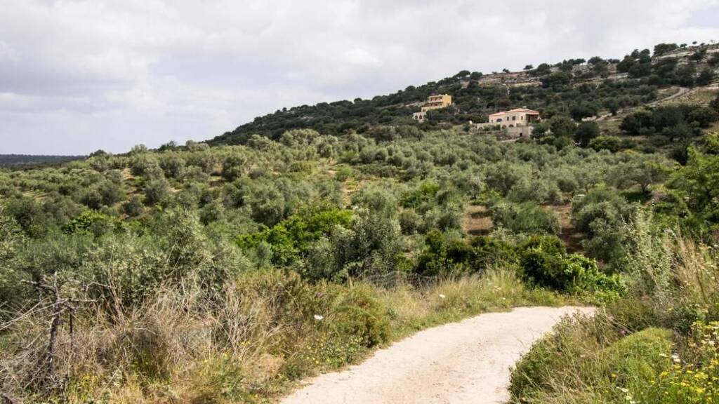 Land-/Forstwirtschaft zum Kauf 95.000 € 4.014 m² Grundstück Kreta