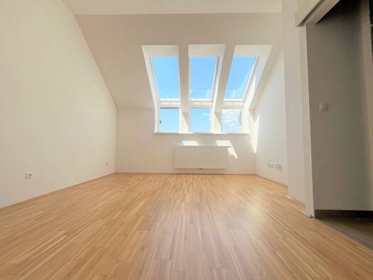 Wohnung zur Miete 483 € 3 Zimmer 56,8 m² Gries Graz 8020