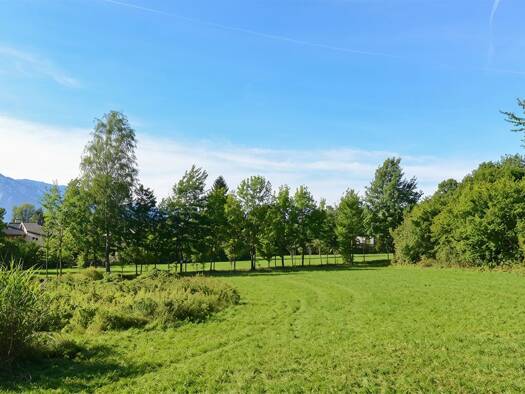 Grundstück zum Kauf 5.800.000 € 1.990 m² Grundstück Aigen I Salzburg 5020