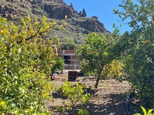Bauernhaus zum Kauf 170.000 € 1 Zimmer 50 m² Baranquillo Andres No Number Mogán 35128