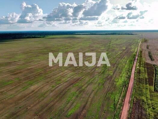 Grundstück zum Kauf 55.000.000 € Alta Floresta 78580-000