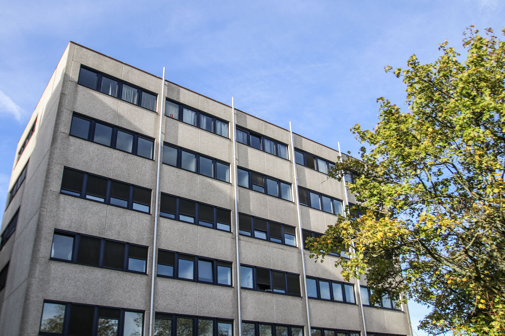 Bürofläche zur Miete provisionsfrei 6 € 185 m²<br/>Bürofläche ab 35 m²<br/>Teilbarkeit West Ratingen 40880